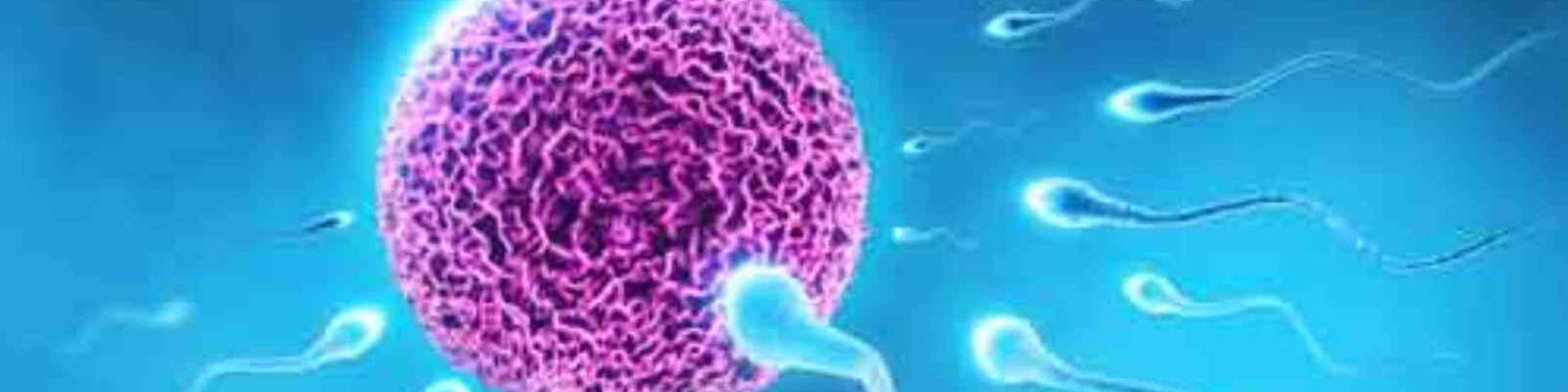 Fertility Clinic